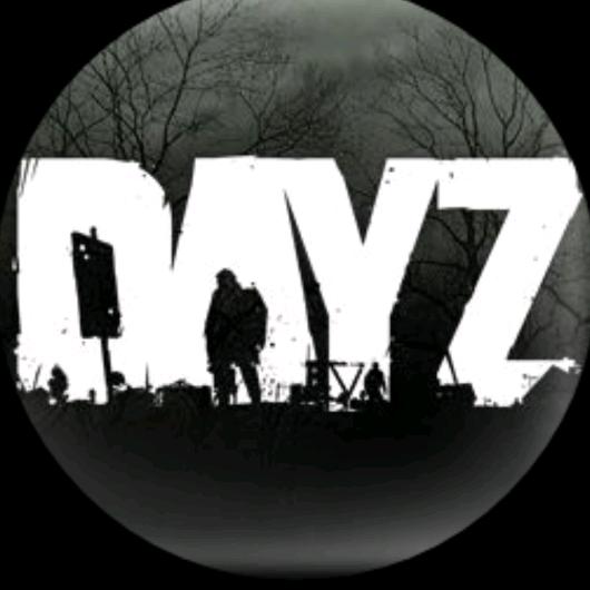 DayZ(国服)仿官PVP
