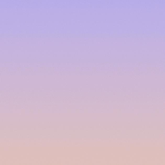 芳小姐