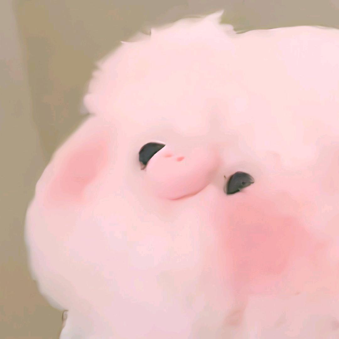 好在盛开