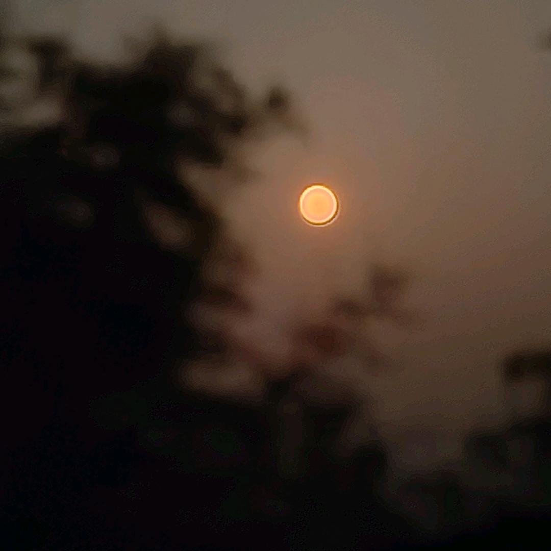 被举报