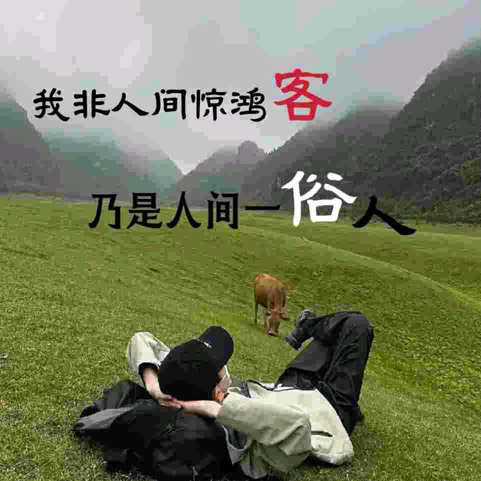 咪多多