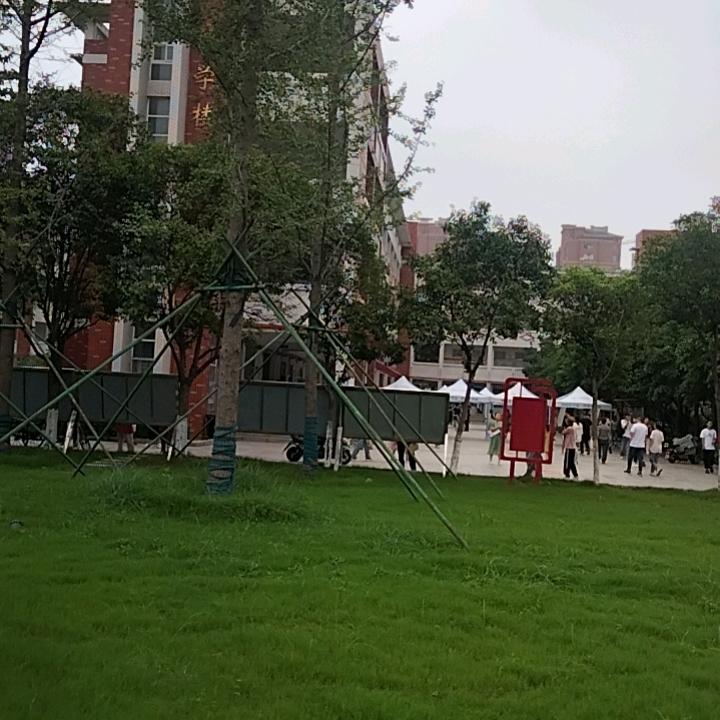 🌸一♧生🍂无♥悔♛