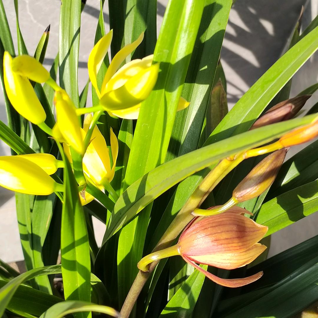 🌈天道酬勤🍒