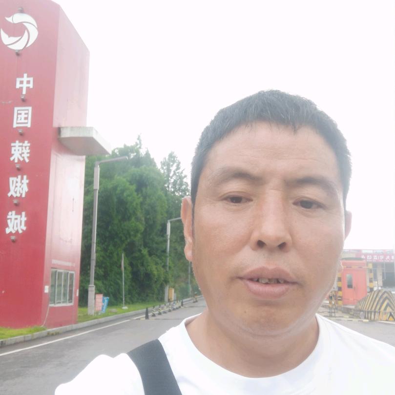 仅此而己