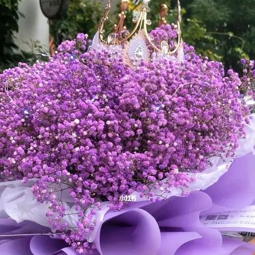 爱做梦的张姑娘