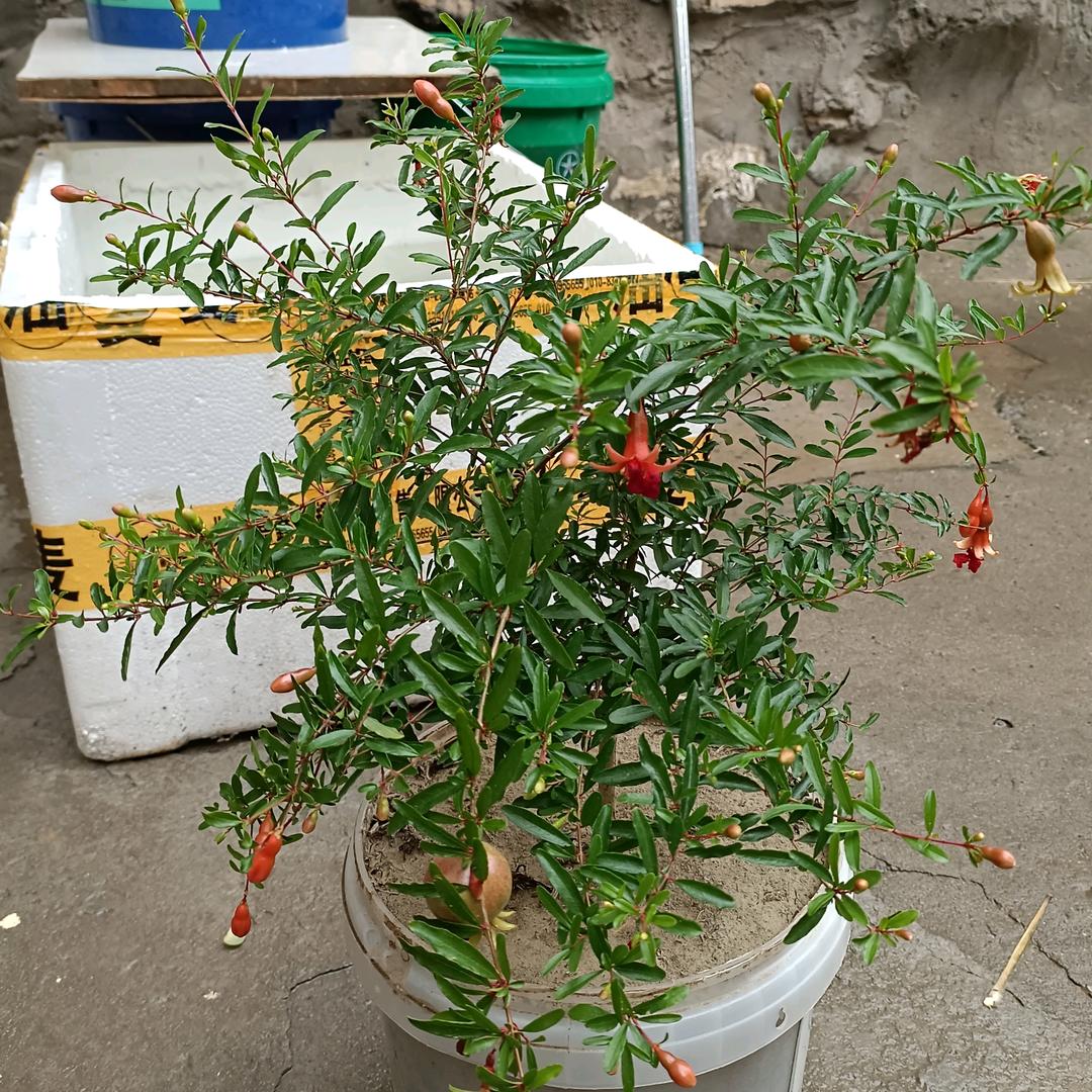 温柔的梦416