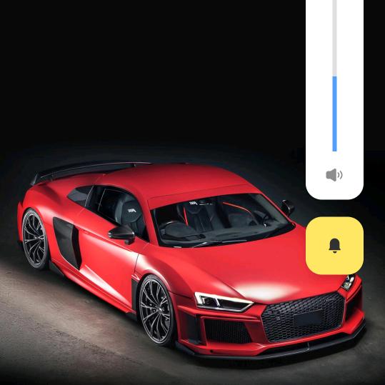 人见人爱鸟见不飞