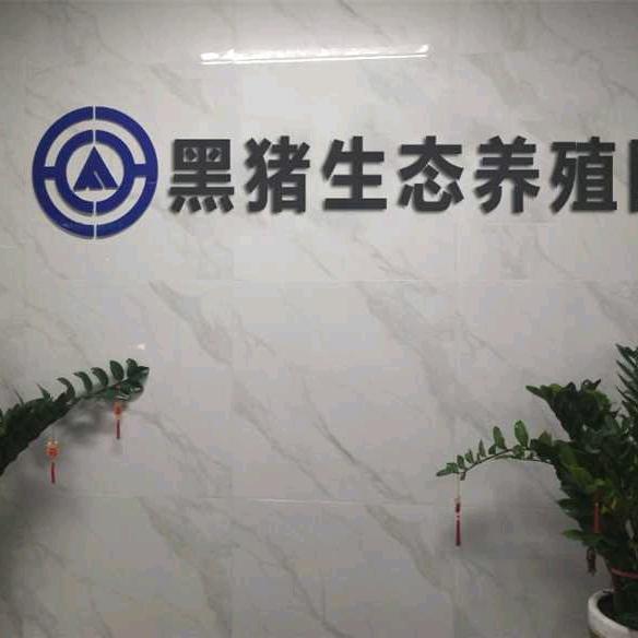 农家生态黑猪