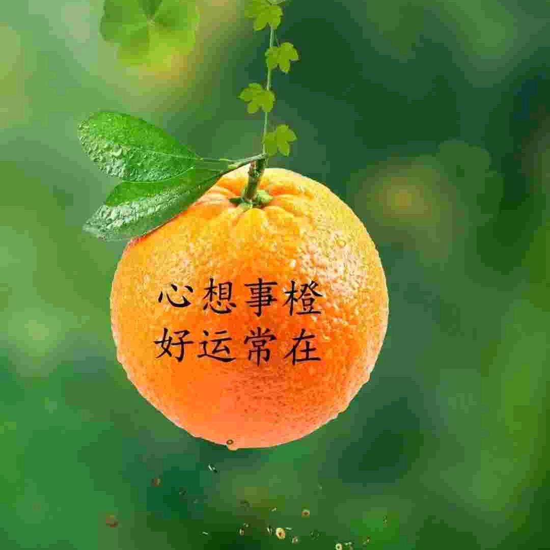 简单就好
