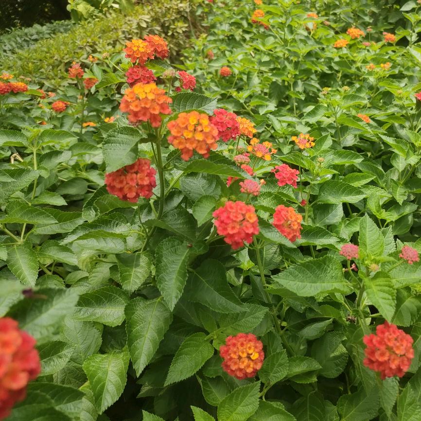 经营幸福