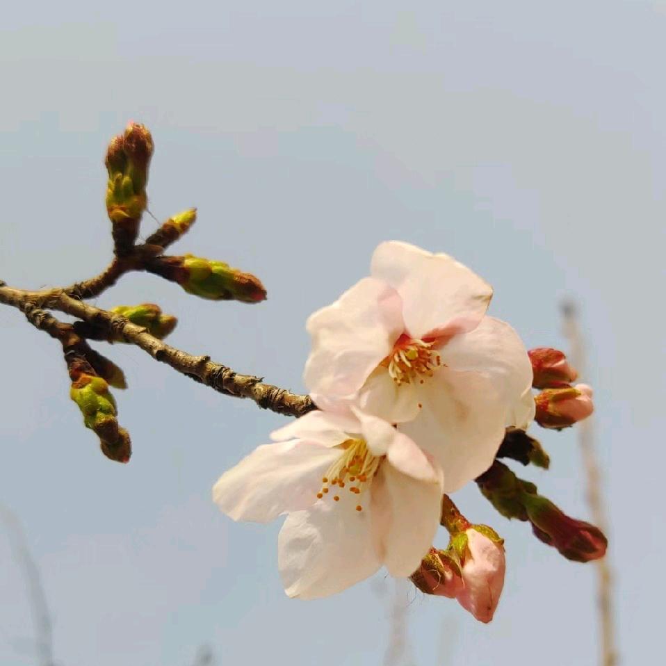 𝄞心宽ঞৣঁ路顺𝄞