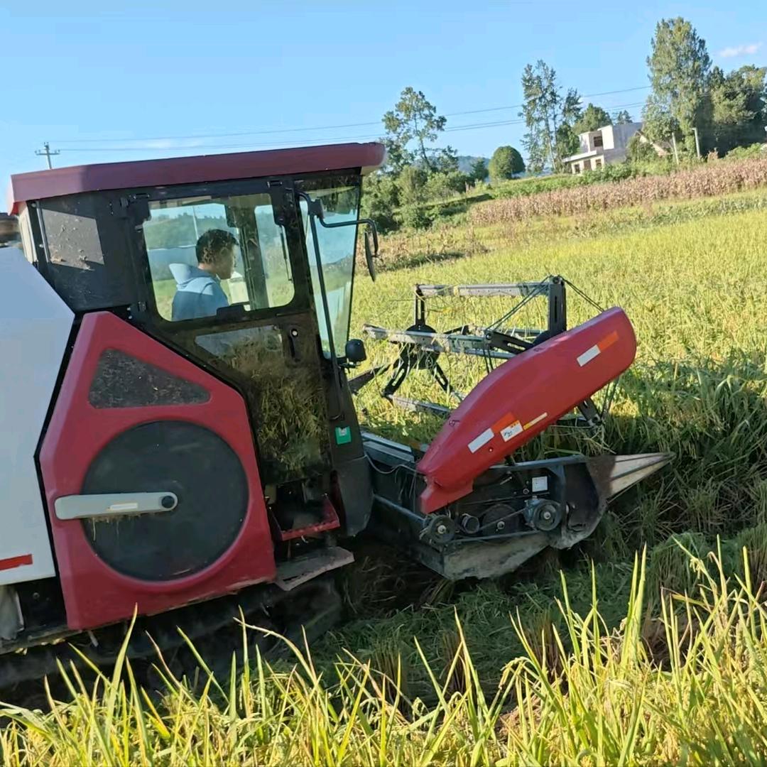 孟婆(づ ●─● )づ来碗豆浆。