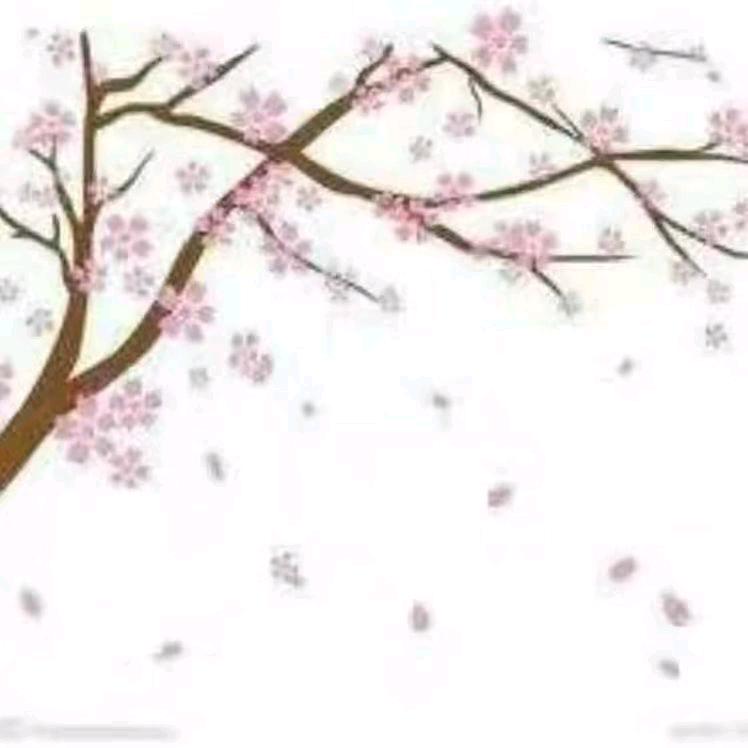 1用户