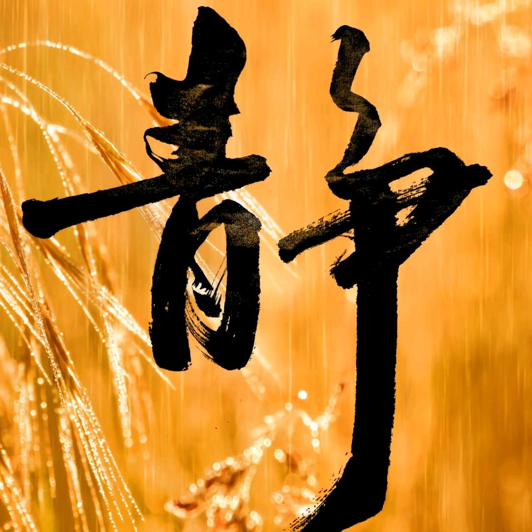 金鸿薇薇