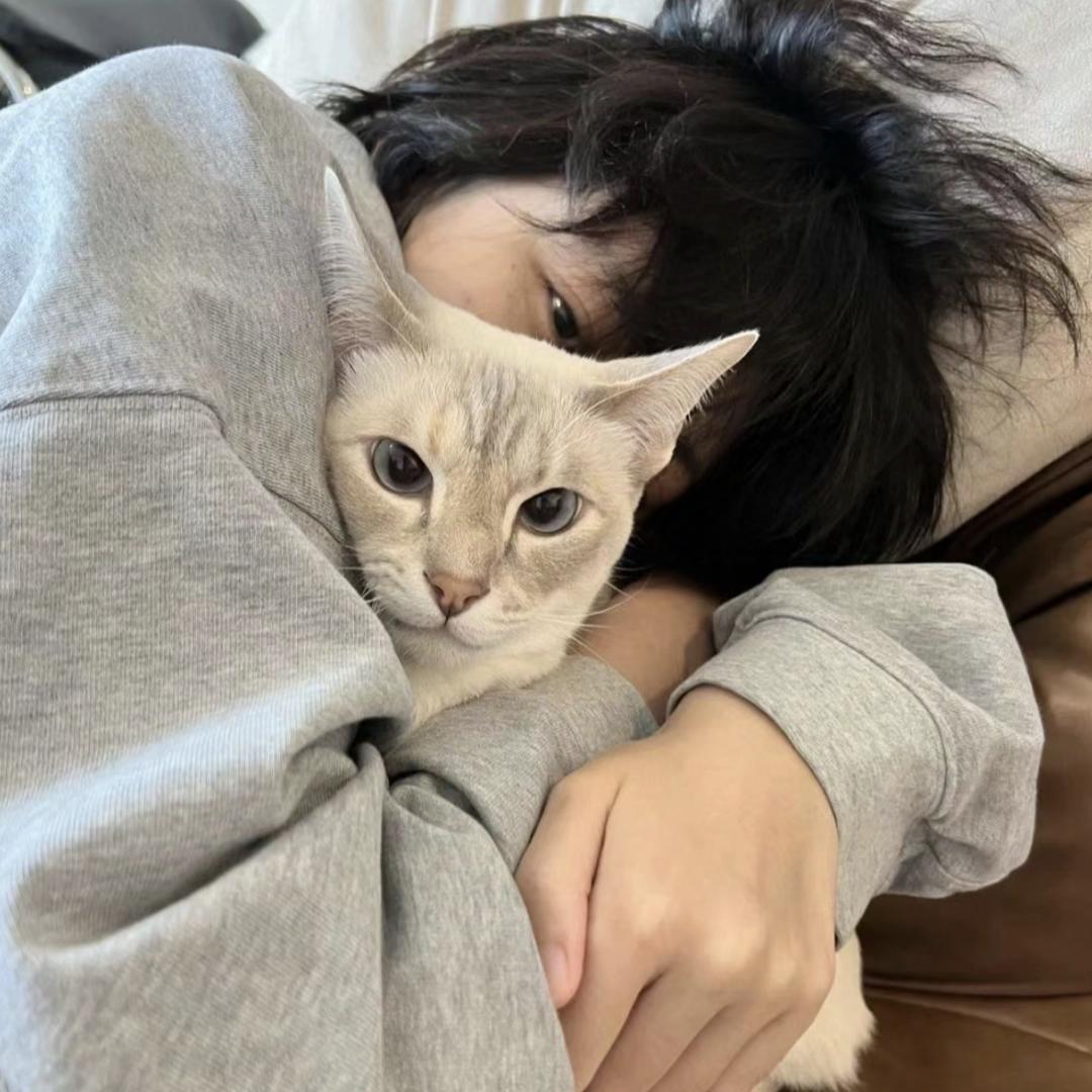 芒果🥭
