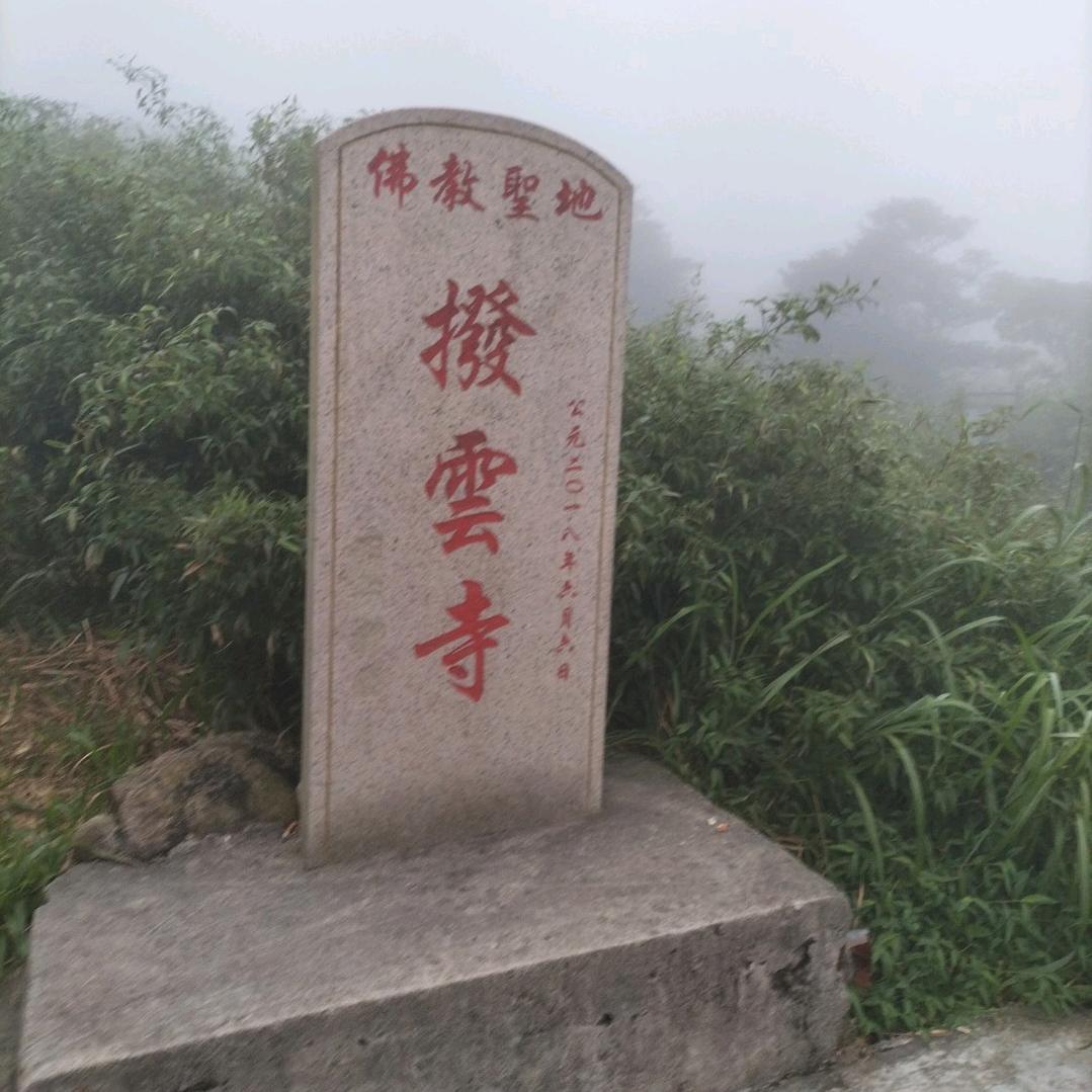 单影逸行