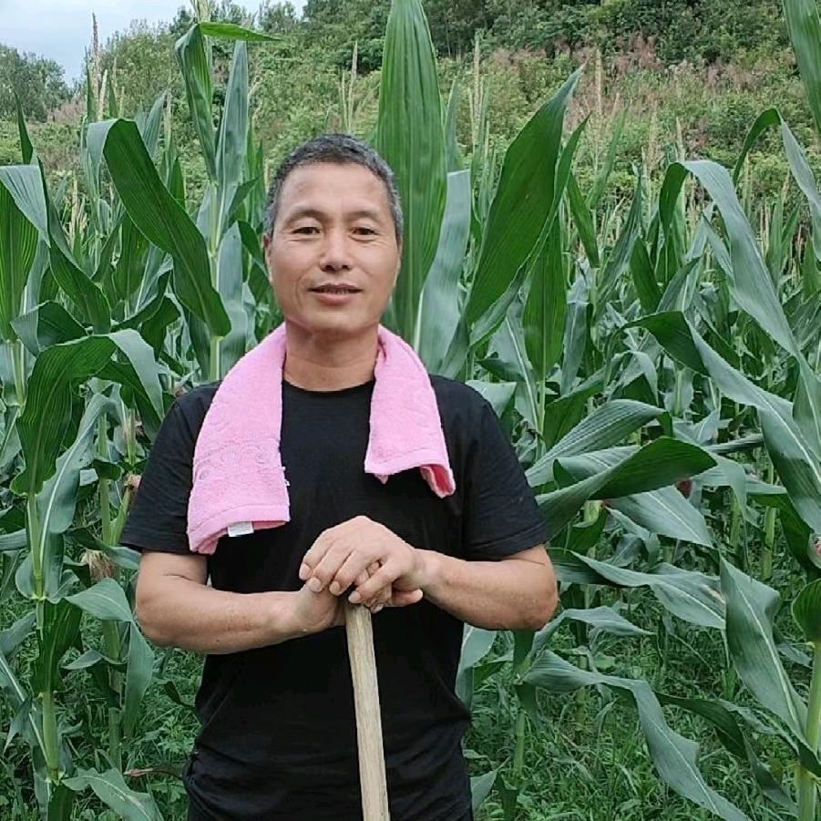 兵哥 首播（上午9.10分开播）