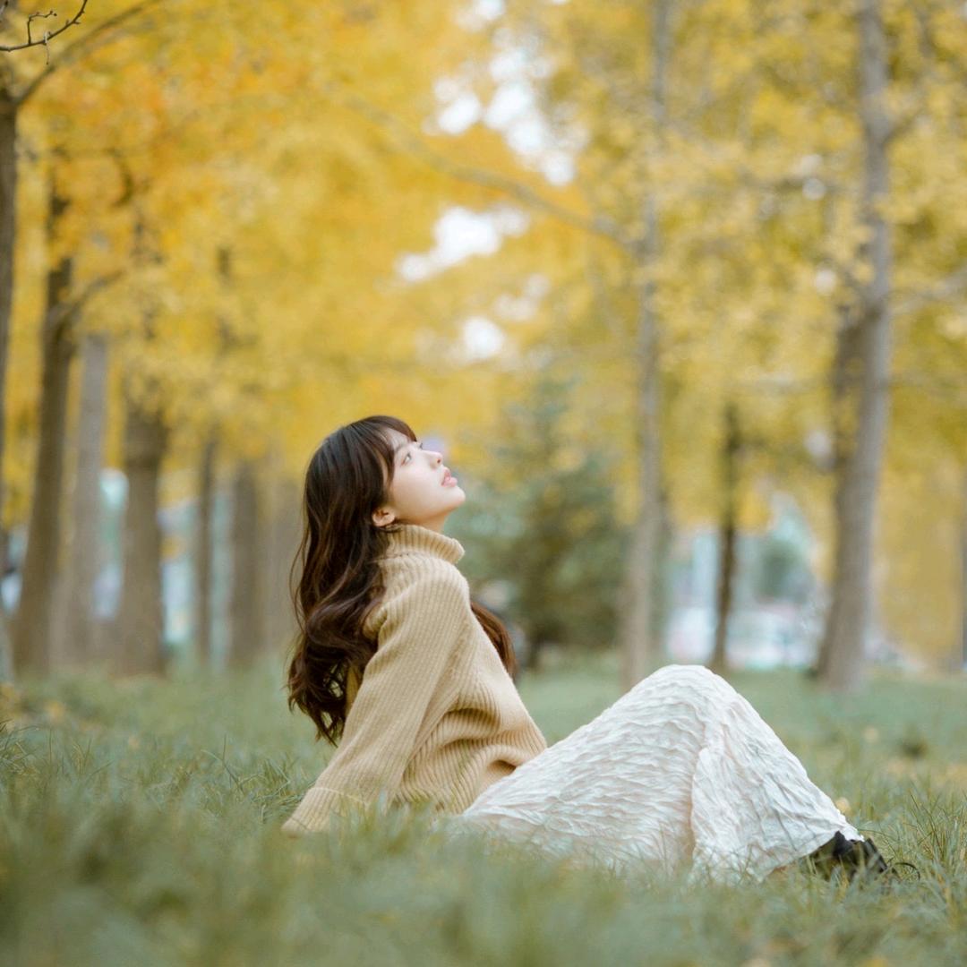 🌸 与你相遇 🌸