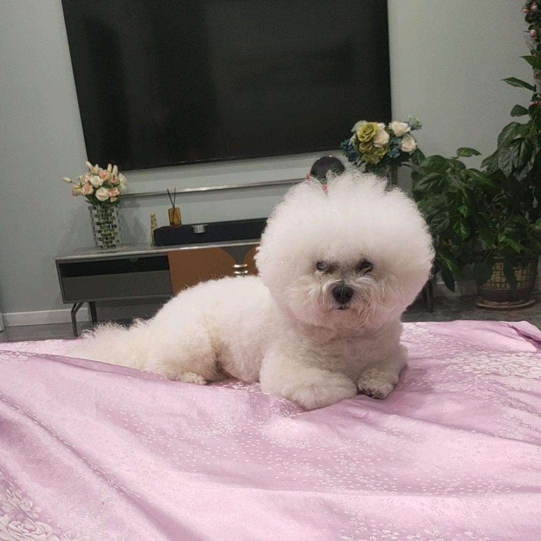 海英🌷