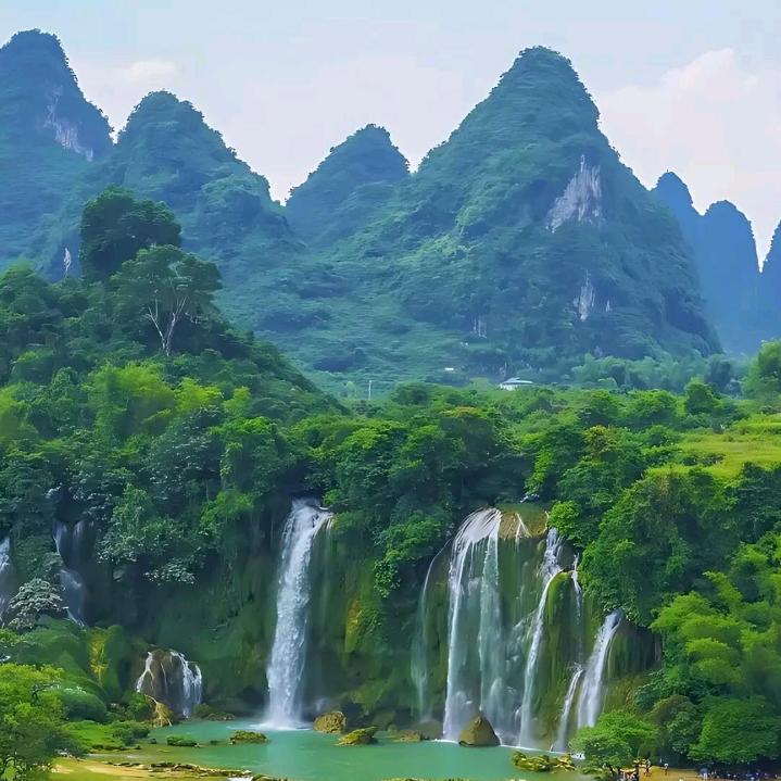 不甘落后