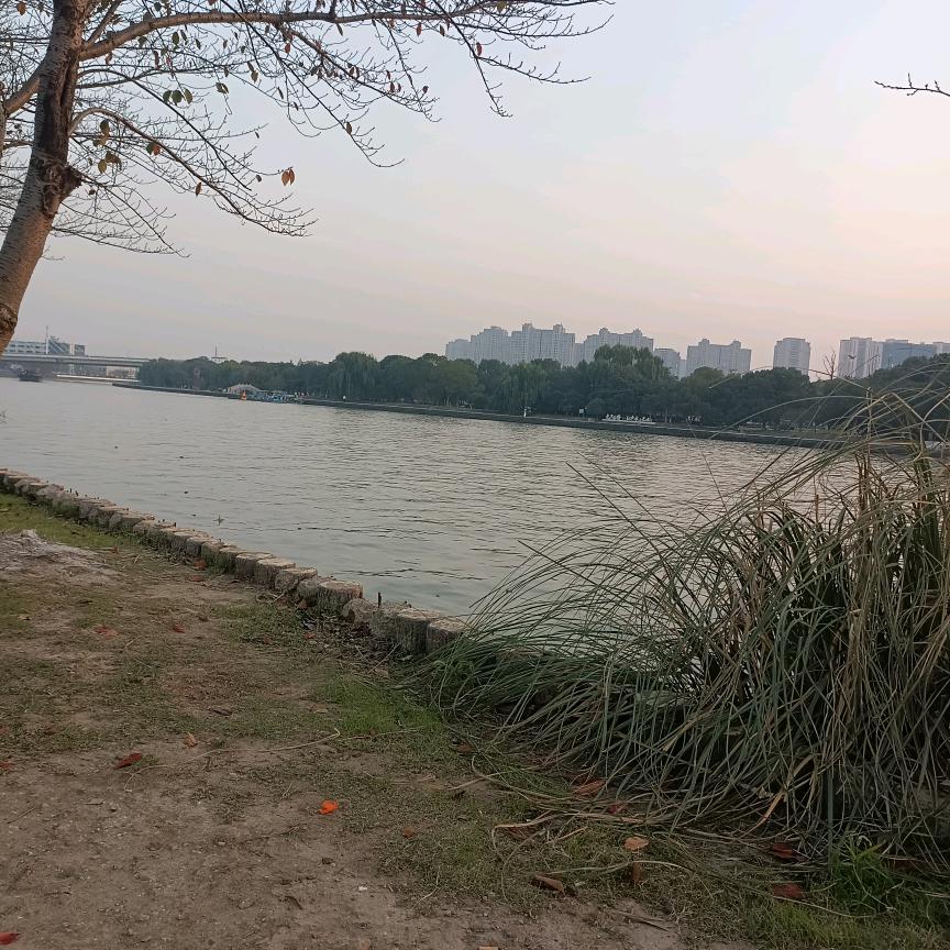 一个破碎的自己