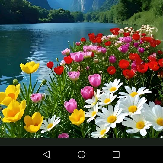 平安幸福快乐每一天