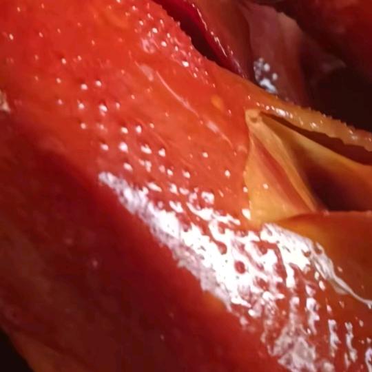 柴沟堡熏鸡