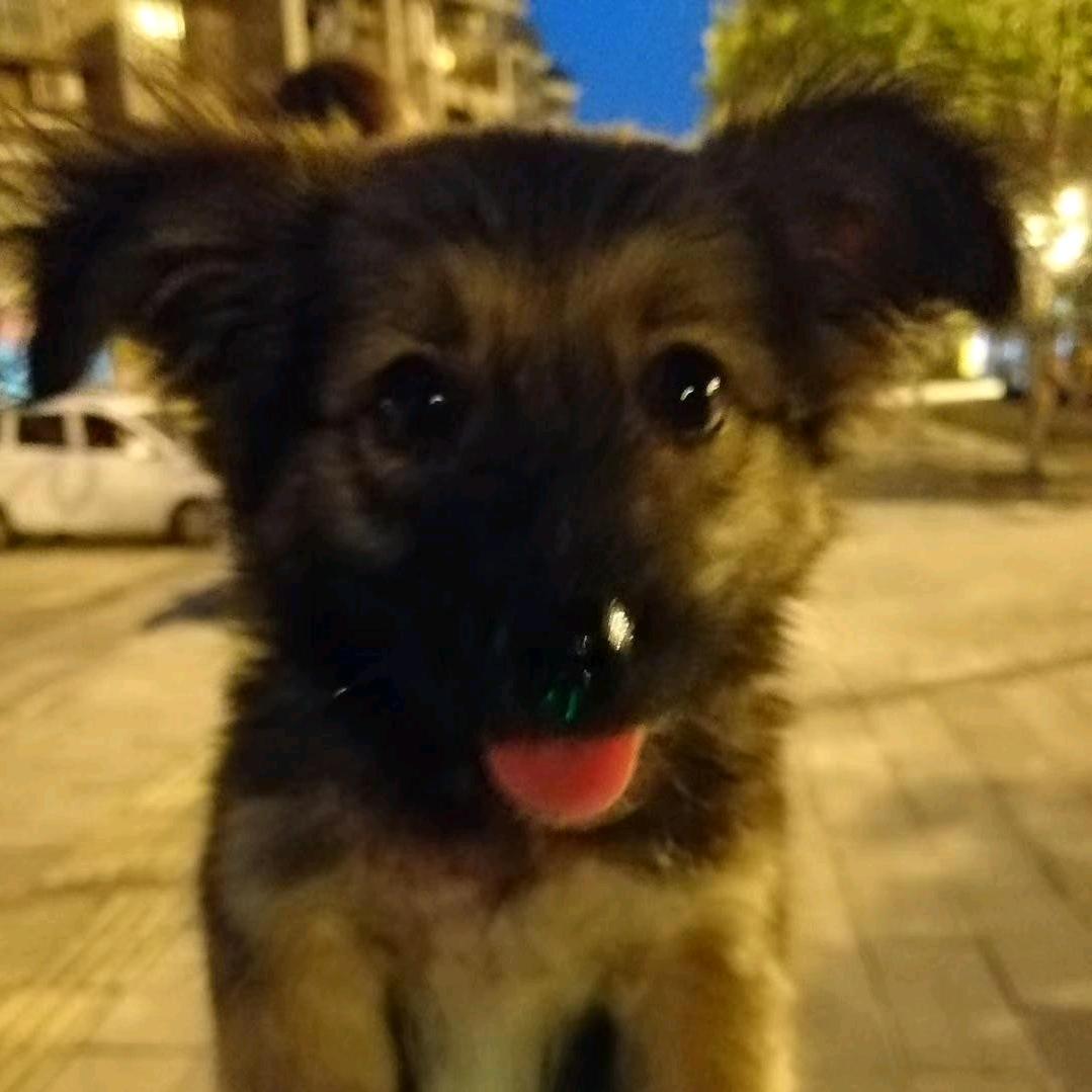 个锤子