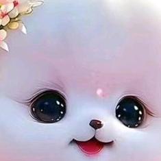 苏娟