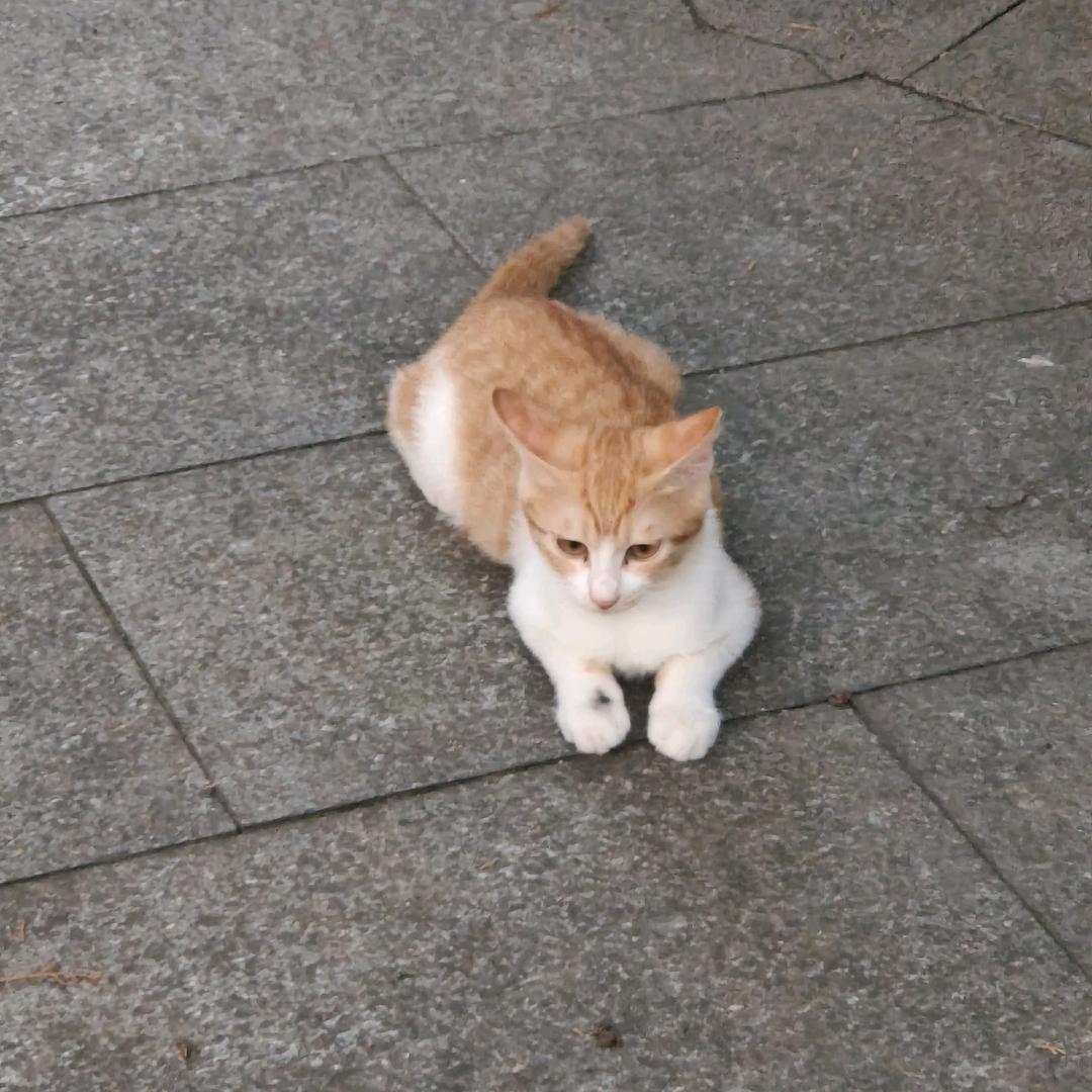 钟爱浅灰蓝