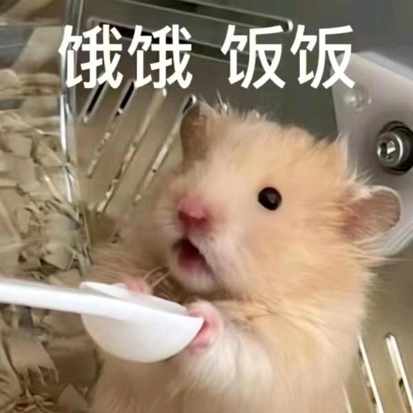 粥粥QAQ