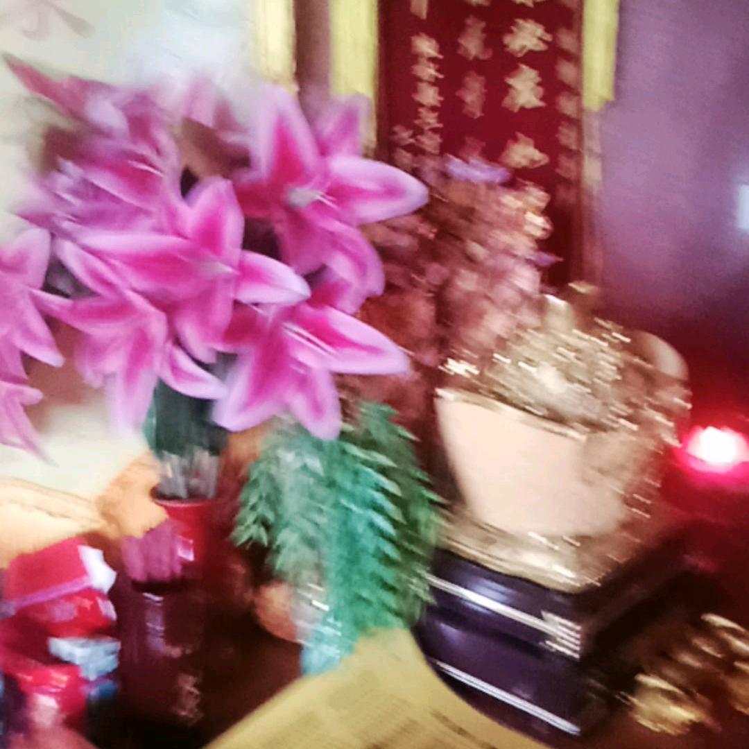 佛门西藏公主🙏