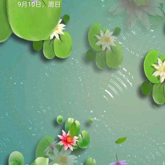 用户2550661317545展翅高飞