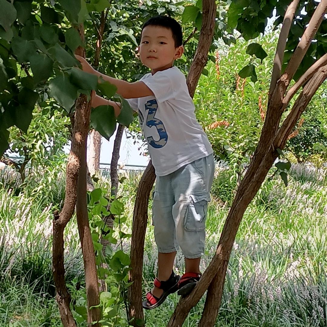 付家家政 保洁 收纳