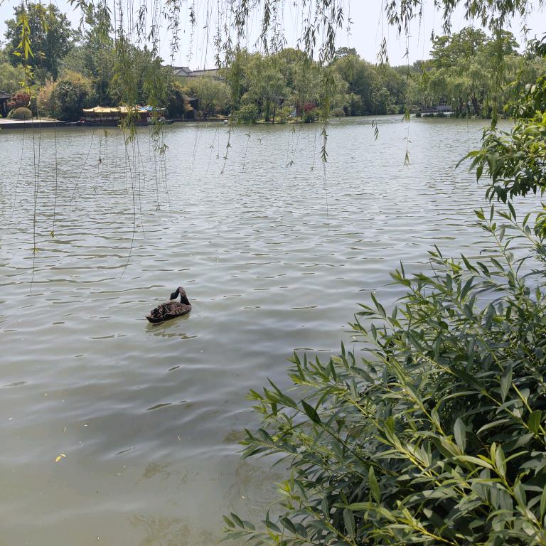 麦佰生鲜超市