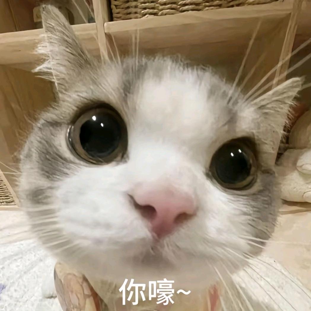 冷泠老攻（小雨激推版）∠( ᐛ 」∠)_
