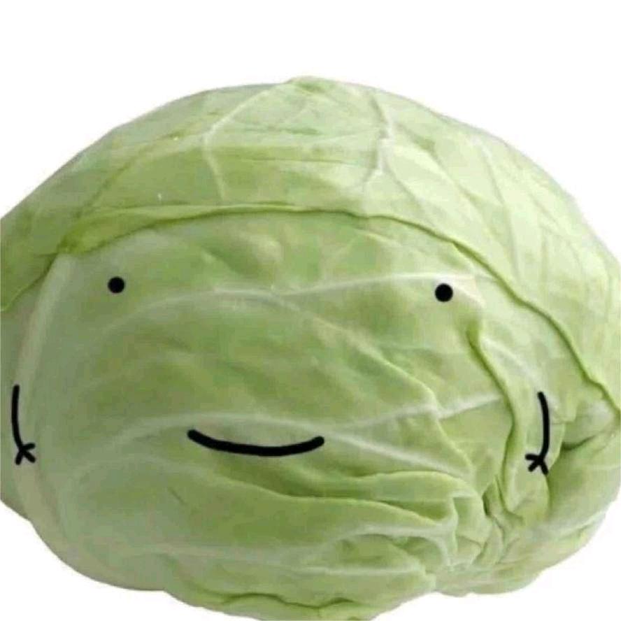 包菜