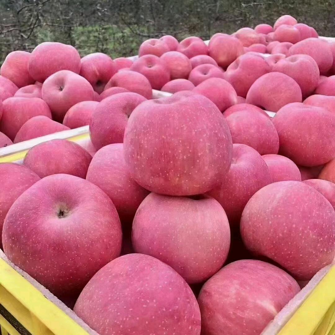 助农“🍎苹果小贩”