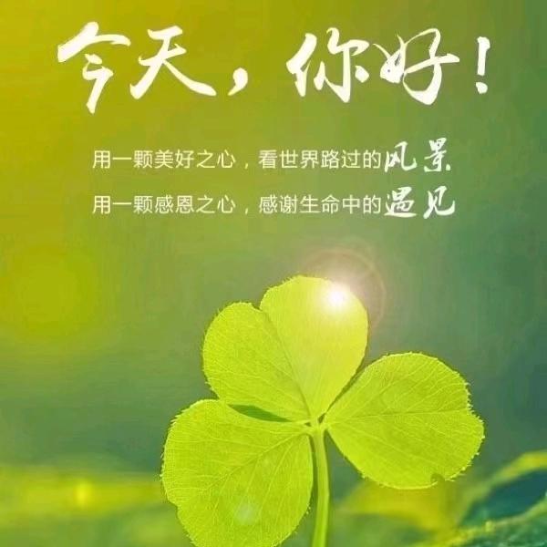 海洋之星