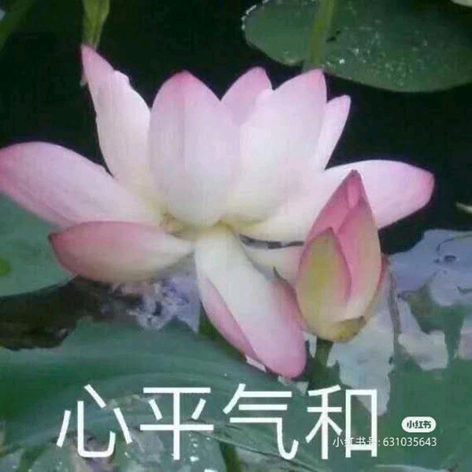 心静