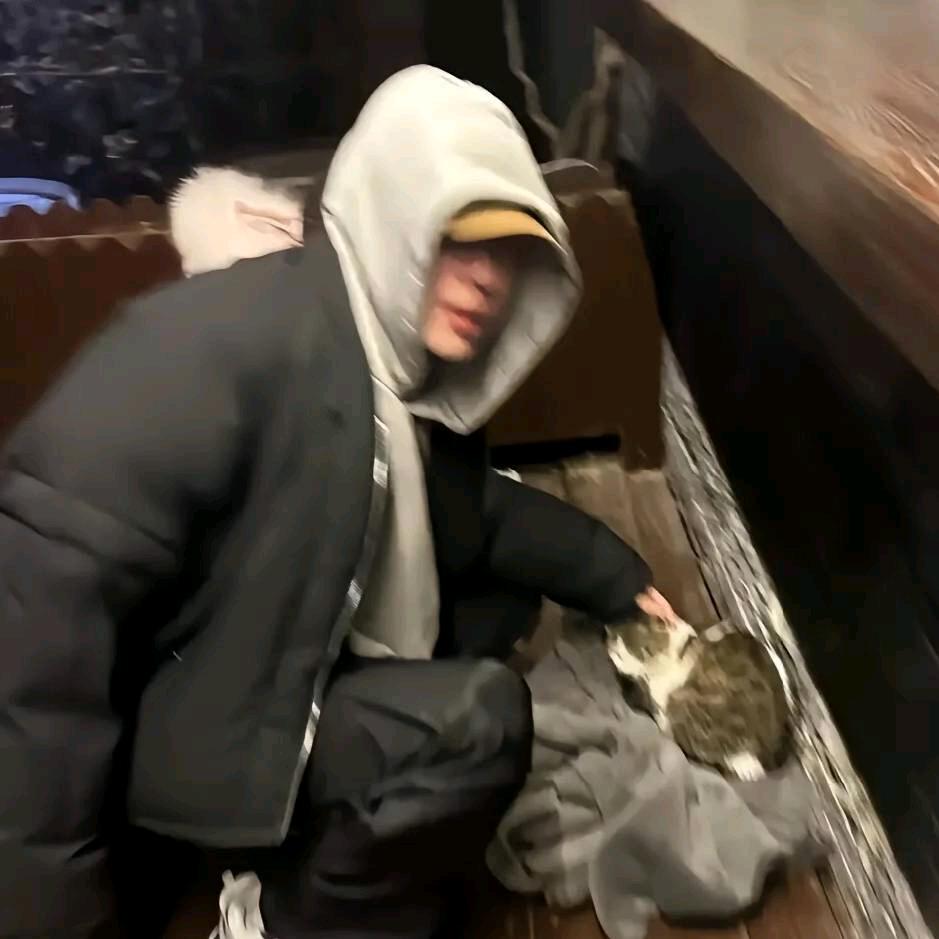 喜欢吃秋刀鱼