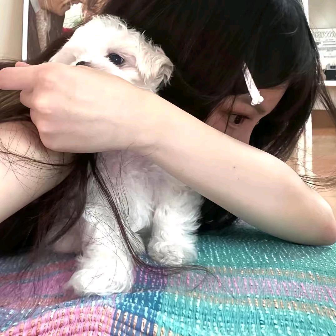 宋池