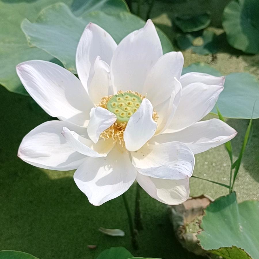 《雪原》突友们聊聊术后恢复