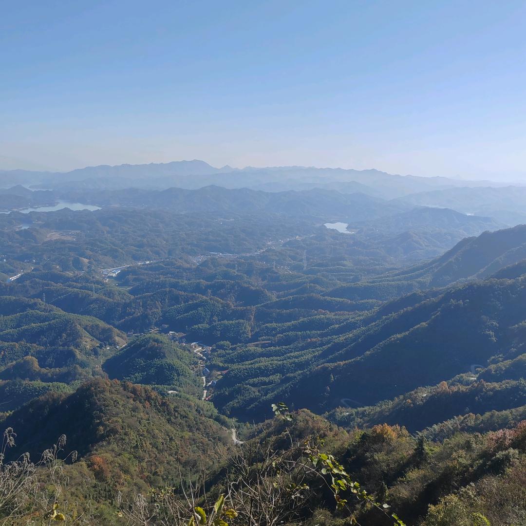 情哥