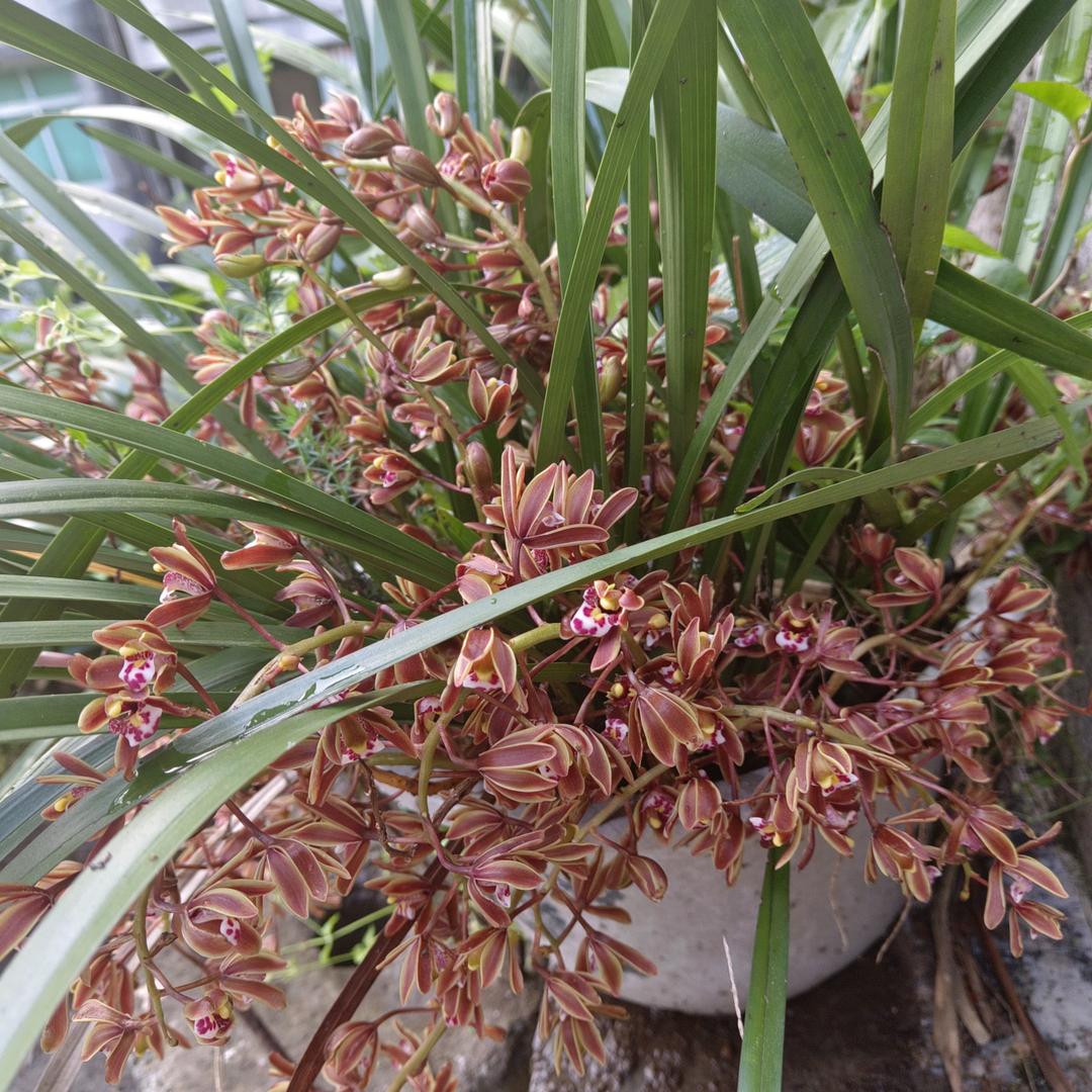 黄溪电信营业厅