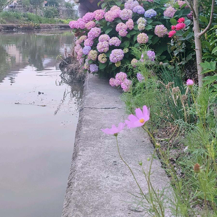 清静无为