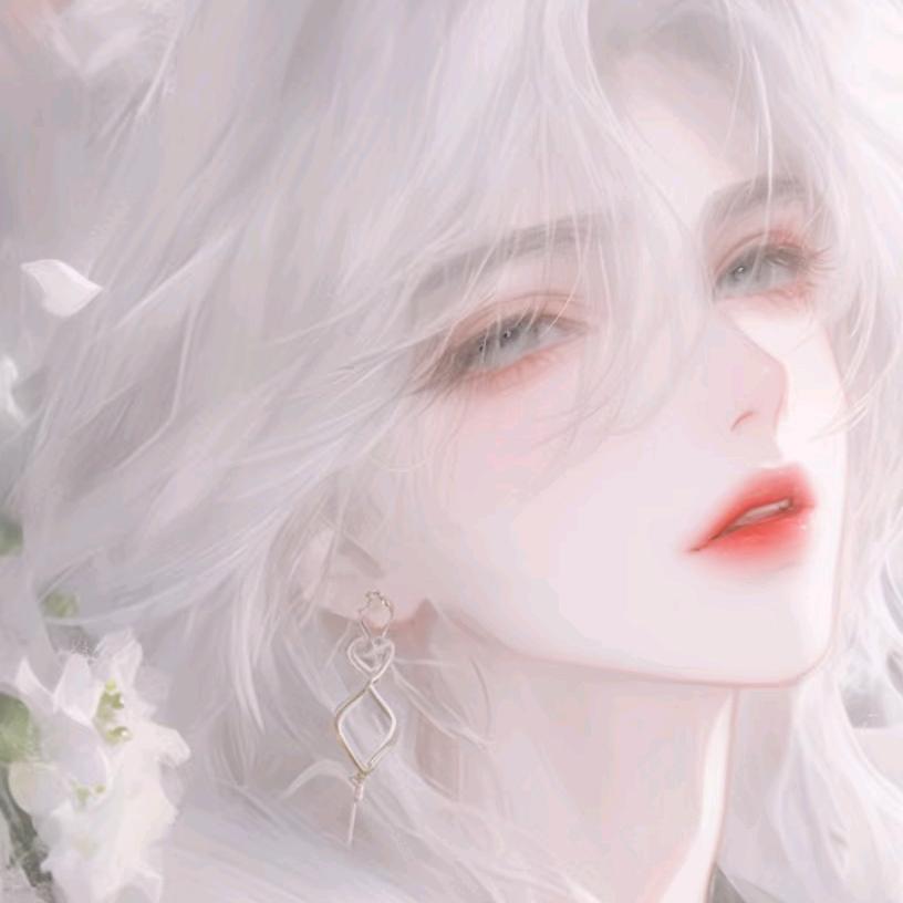 夜幕.爱如雪🍀