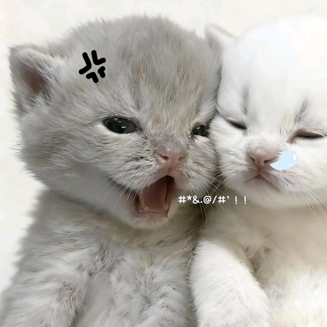 思思思思思思思思考