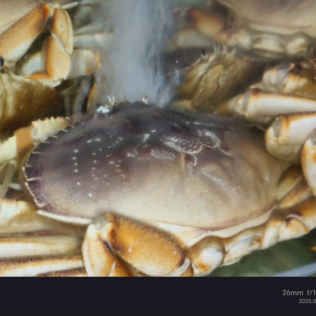 呦呦呦，啧啧啧