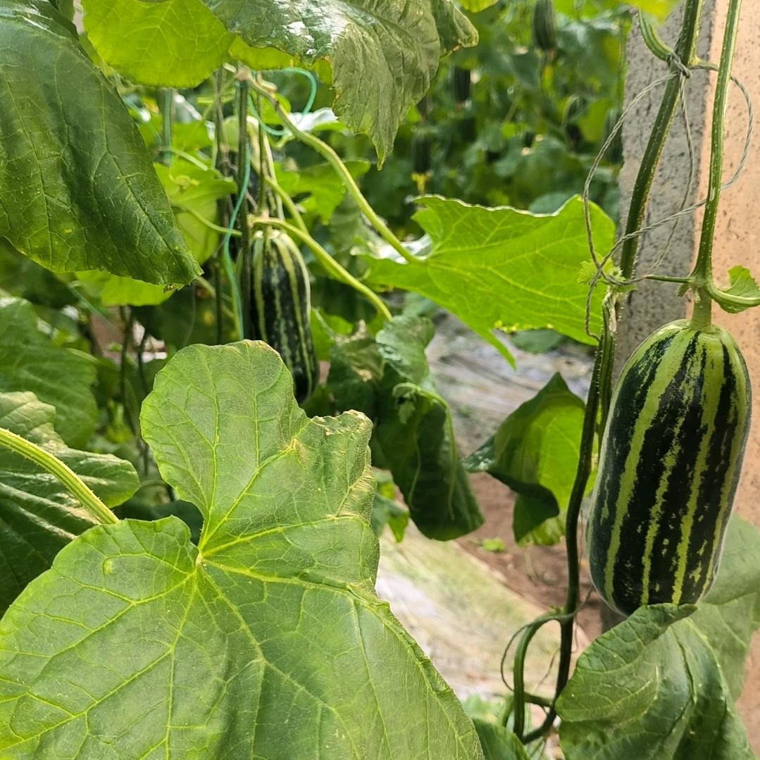 刚哥二手工程机械